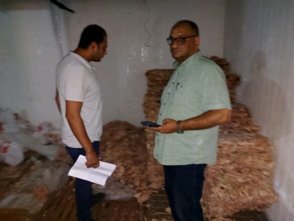 حملة تضبط 5 أطنان لحم مفروم وهياكل دواجن فاسدة بدسوق - صور 