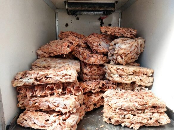 حملة تضبط 5 أطنان لحم مفروم وهياكل دواجن فاسدة بدسوق - صور 