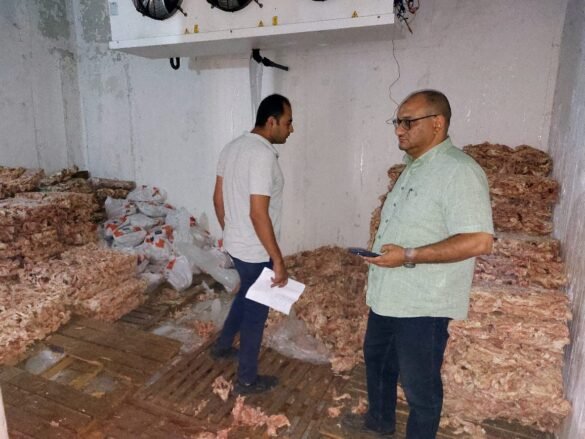 حملة تضبط 5 أطنان لحم مفروم وهياكل دواجن فاسدة بدسوق - صور 