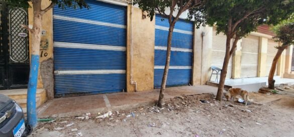 حملة تضبط 5 أطنان لحم مفروم وهياكل دواجن فاسدة بدسوق - صور 