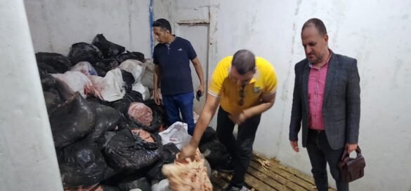 حملة تضبط 5 أطنان لحم مفروم وهياكل دواجن فاسدة بدسوق - صور 