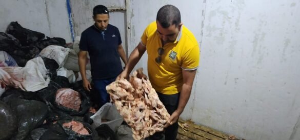 حملة تضبط 5 أطنان لحم مفروم وهياكل دواجن فاسدة بدسوق - صور 