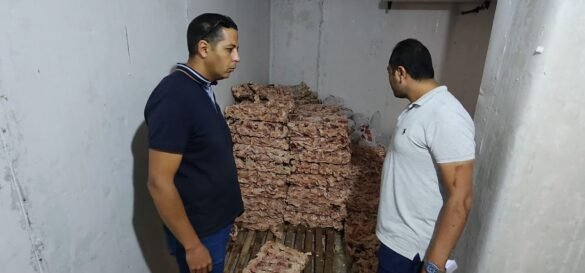 حملة تضبط 5 أطنان لحم مفروم وهياكل دواجن فاسدة بدسوق - صور 
