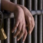 سقوط عاطل بحوزته 250 طربة حشيش خلال ترويجها بكفر الشيخ